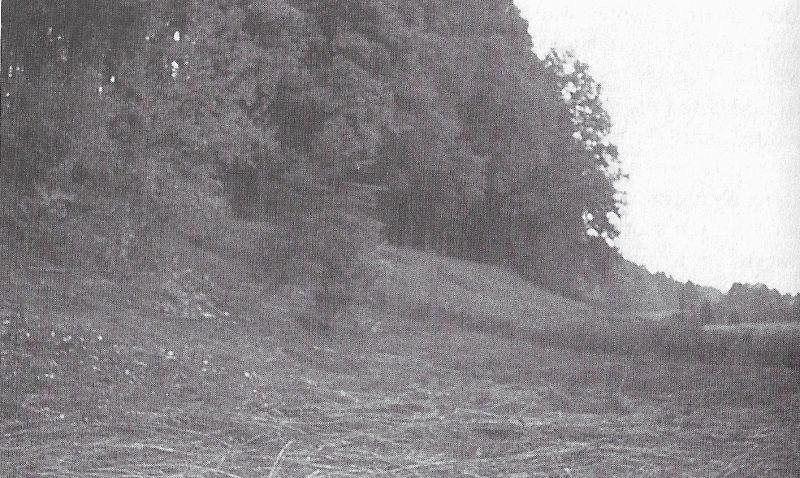File:Photo-zeugenbuch-p120a.jpg