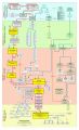 Lineage-Genealogy-sec-1.jpg