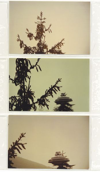 File:3rd set of 3.jpeg