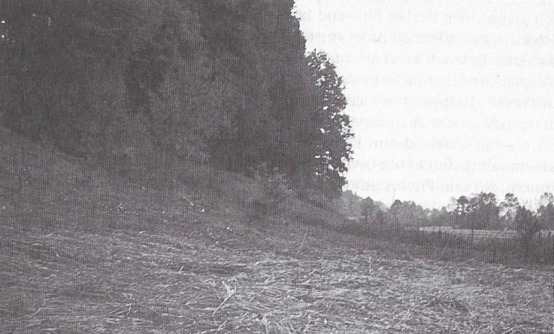 File:Photo-zeugenbuch-p120b.jpg