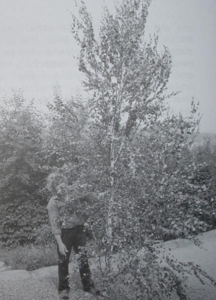 File:Contact 236 photo4.jpg