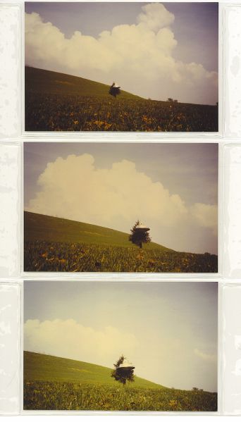 File:4th set of 3.jpeg
