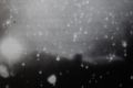 Horsehead nebula.jpg